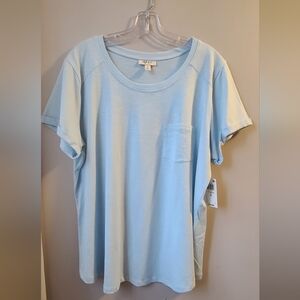 NWT Style & Co Pale Blue Top - size 2X